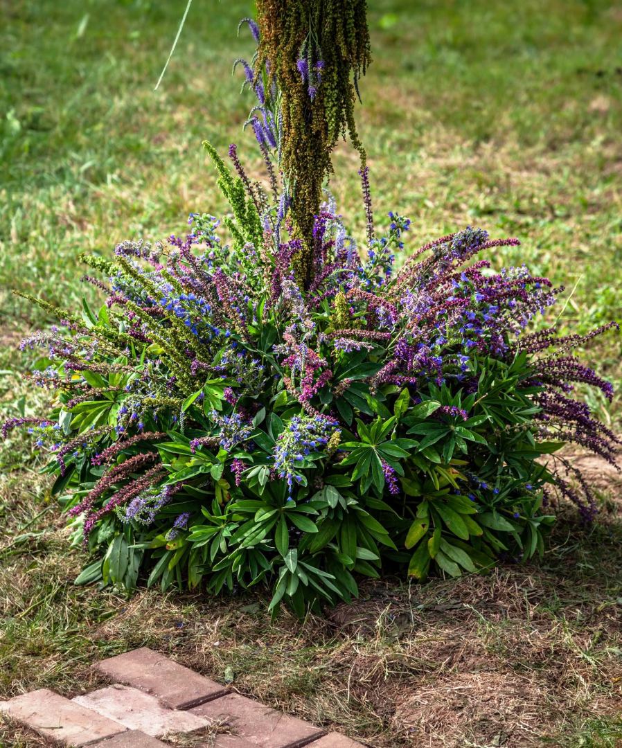 Цветочный шатер-зонтик азербайджанского флориста признан одним из лучших в России (ФОТО)