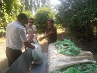 По инициативе депутата Севиль Микаиловой в Худате розданы праздничные подарки по случаю Гурбан байрамы (ФОТО)