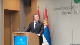 Главы МИД Азербайджана и Сербии провели в Баку пресс-конференцию (ФОТО/ВИДЕО)