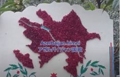 Японская джазвумен исполнила гимн Азербайджана в поддержку спортсменов на Олимпиаде (ВИДЕО, ФОТО)