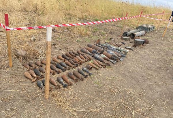 Агентство Азербайджана по разминированию отчиталось по итогам работы за неделю