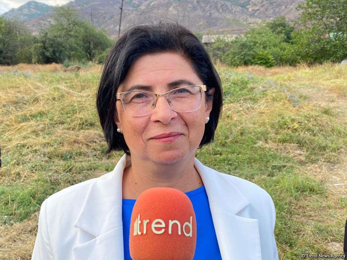 Вся идеология армян основана на ненависти и создании ложной истории – завотделом Администрации Президента Азербайджана