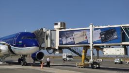 Группа азербайджанских пожарных, отправленных в Турцию для борьбы с лесными пожарами, вернулась на родину (ФОТО)