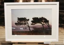 В Баку прошел аукцион: как азербайджанские фотографы помогают утилизировать старые батарейки (ФОТО)