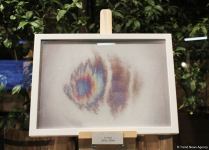 В Баку прошел аукцион: как азербайджанские фотографы помогают утилизировать старые батарейки (ФОТО)