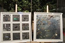 В Баку прошел аукцион: как азербайджанские фотографы помогают утилизировать старые батарейки (ФОТО)