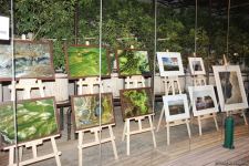 В Баку прошел аукцион: как азербайджанские фотографы помогают утилизировать старые батарейки (ФОТО)