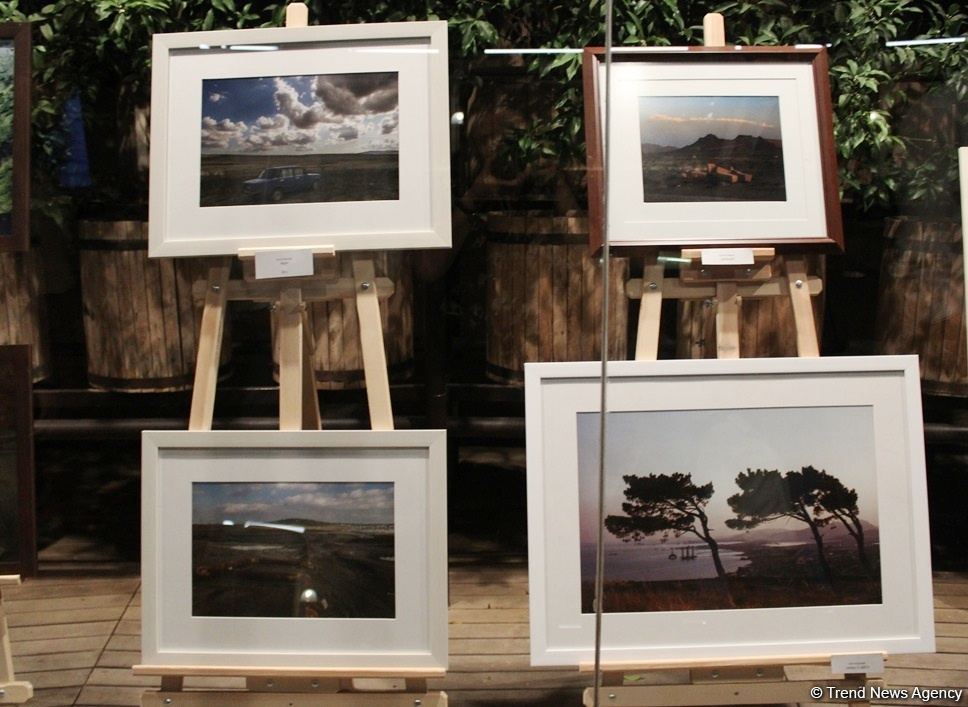 В Баку прошел аукцион: как азербайджанские фотографы помогают утилизировать старые батарейки (ФОТО)