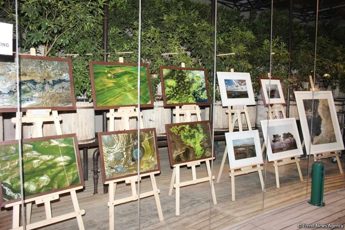 В Баку прошел аукцион: как азербайджанские фотографы помогают утилизировать старые батарейки (ФОТО)