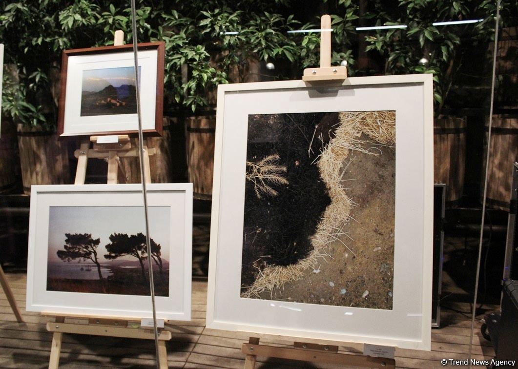 В Баку прошел аукцион: как азербайджанские фотографы помогают утилизировать старые батарейки (ФОТО)