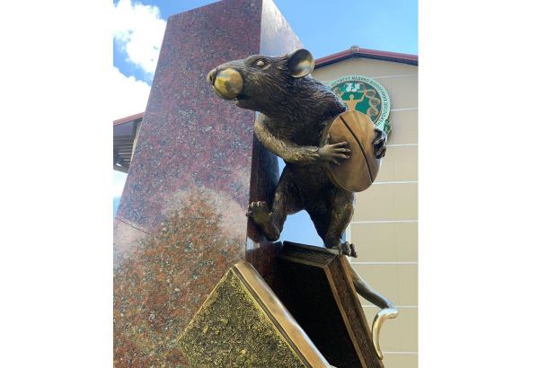 Феномен наук о здоровье Сейфаддина Гурбанова в Харькове