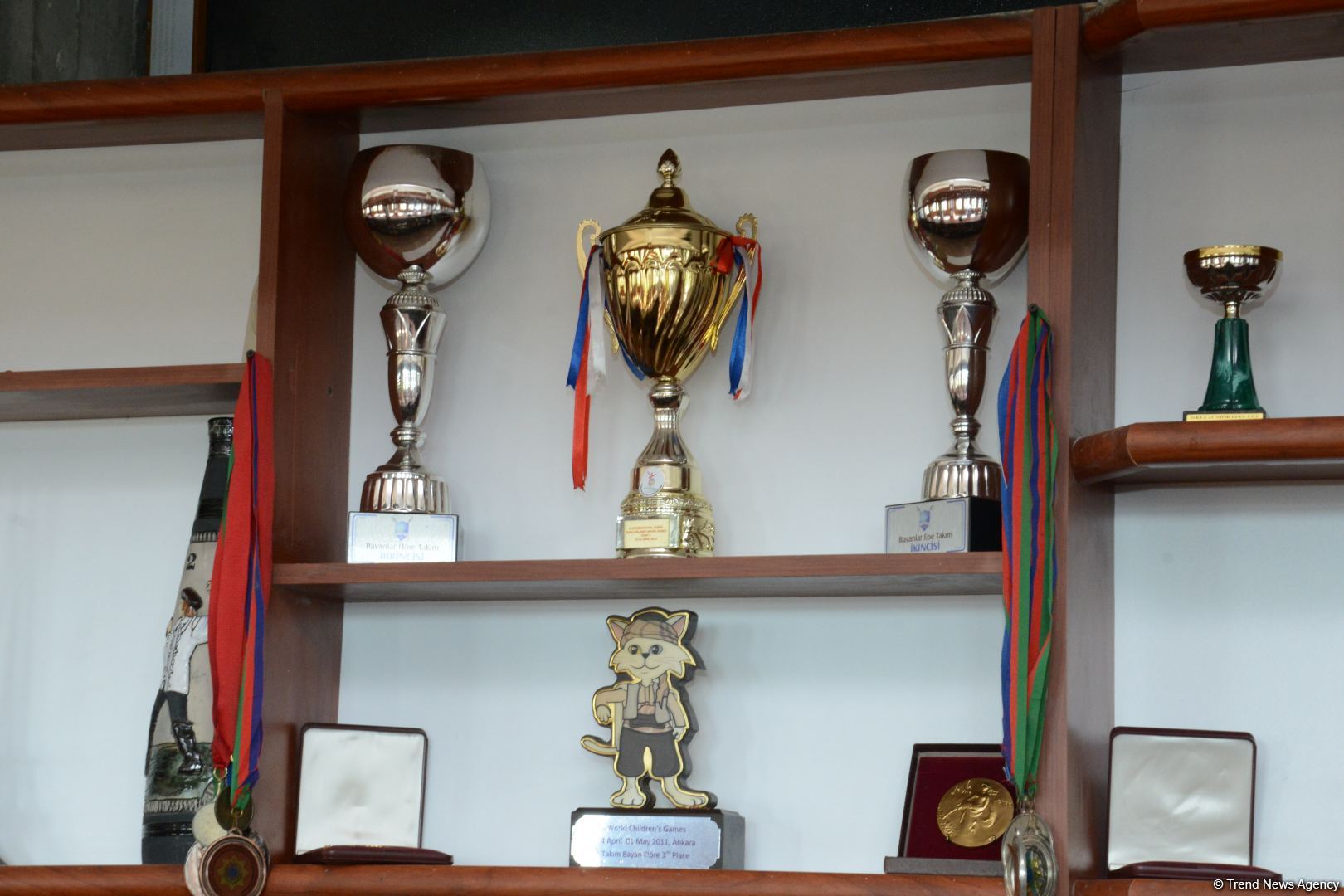 Федерация фехтования инвалидов-колясочников Азербайджана провела торжественное мероприятие с участием гази Карабахской войны (ВИДЕО, ФОТО)