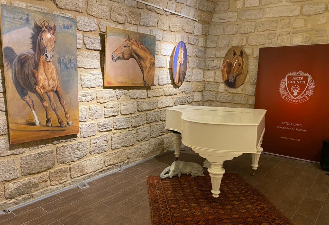 Из Латвии в Азербайджан на Карабахских скакунах (ФОТО/ВИДЕО)