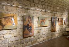 Из Латвии в Азербайджан на Карабахских скакунах (ФОТО/ВИДЕО)