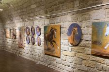 Из Латвии в Азербайджан на Карабахских скакунах (ФОТО/ВИДЕО)