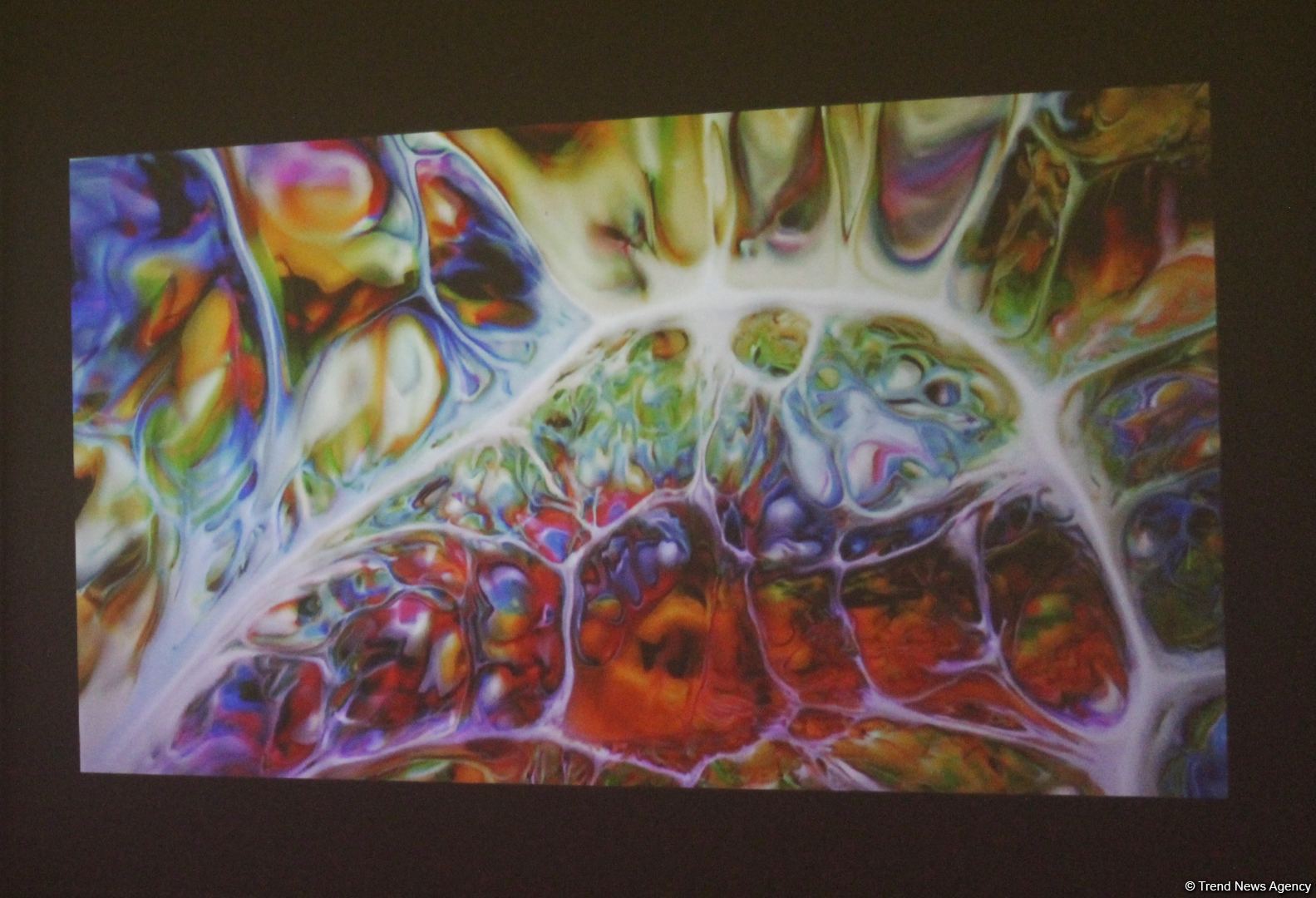 Энергия хаоса в Баку… Какие секреты хранят картины Рамины Саадатхан (ФОТО)