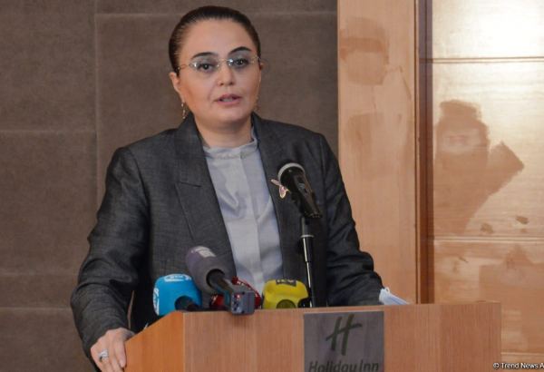 Мозговые центры становятся глобальными политическими игроками - Саадет Юсифова