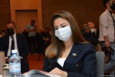 В Азербайджане создан единый информационный портал о шехидах (ФОТО)