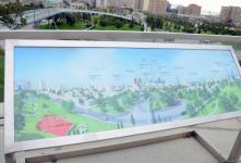 Центральный парк Баку (ФОТОСЕССИЯ)