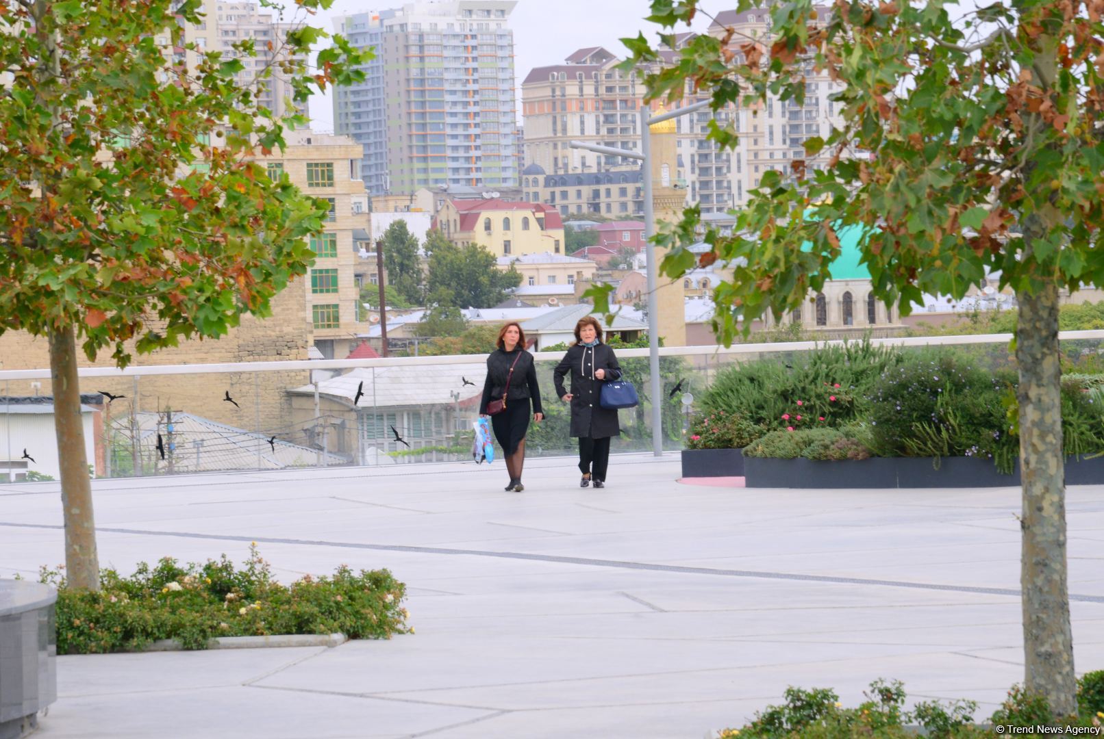 Центральный парк Баку (ФОТОСЕССИЯ)