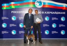 Первый военный летчик-азербайджанец Фаррух Гаибов в проекте Фуада Ахундова  "Рыцари первой мировой" (ФОТО)