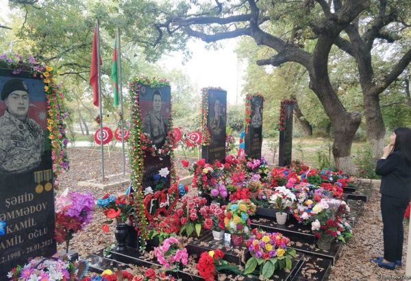 Депутат Севиль Микаилова провела встречу с семьями шехидов (ФОТО)