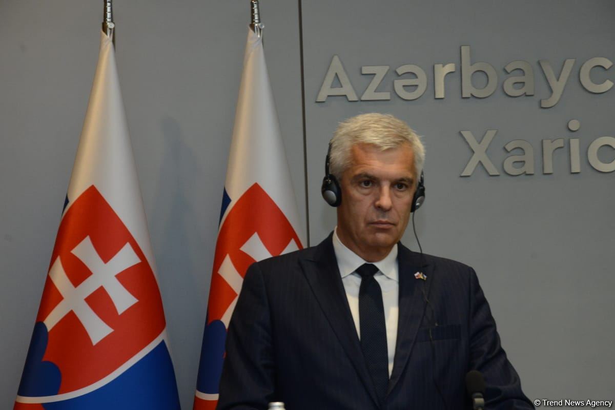 В Баку прошла совместная пресс-конференция глав МИД Азербайджана и Словакии (ФОТО/ВИДЕО)