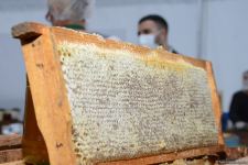 В Баку открылась ярмарка меда (ФОТО)