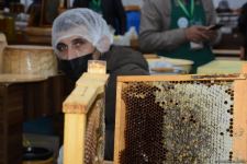 В Баку открылась ярмарка меда (ФОТО)