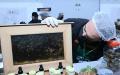 В Баку открылась ярмарка меда (ФОТО)