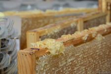 В Баку открылась ярмарка меда (ФОТО)