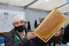 В Баку открылась ярмарка меда (ФОТО)