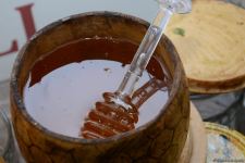На пчеловодческую выставку в Баку доставлен мед из Кяльбаджара и Лачина (ФОТО)