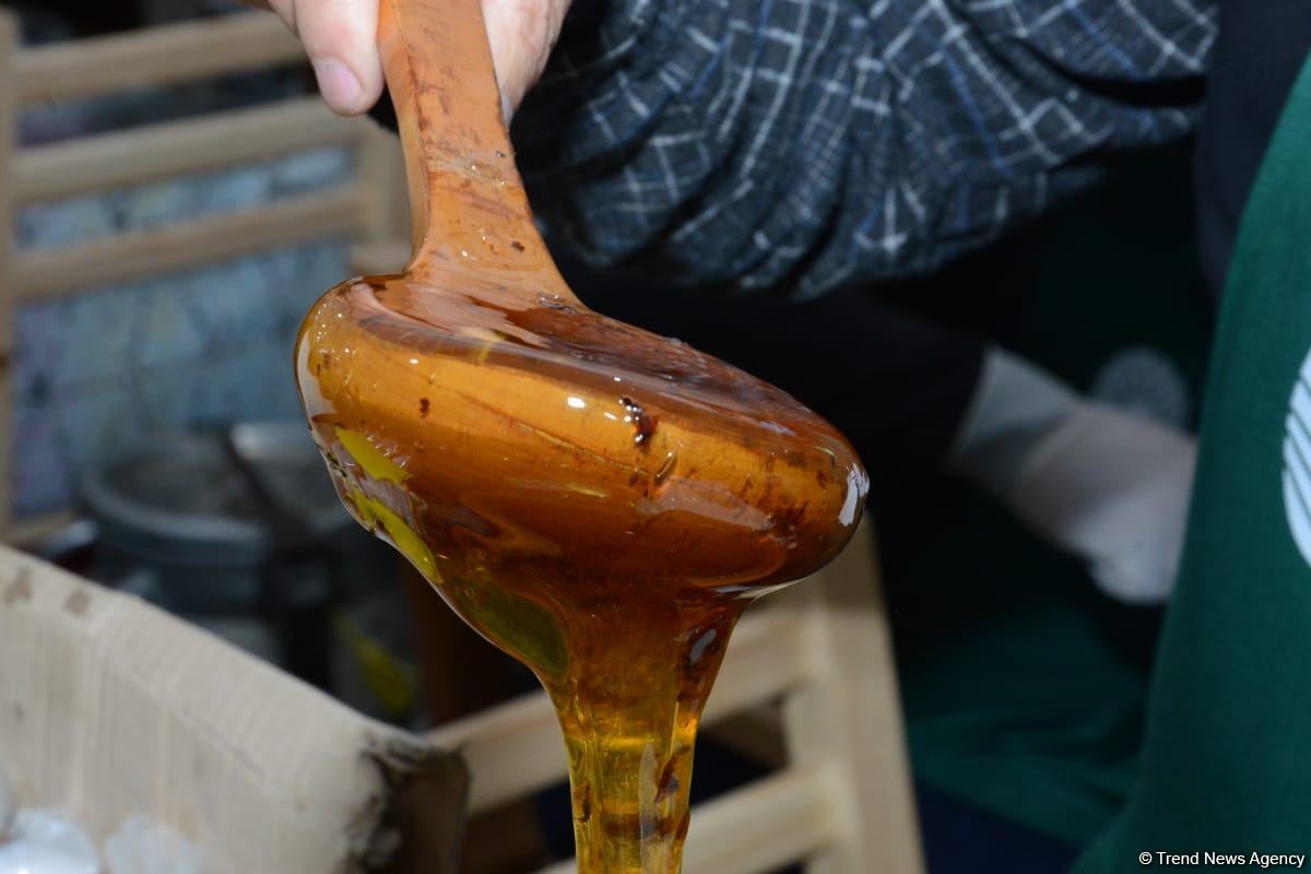 В Баку открылась ярмарка меда (ФОТО)