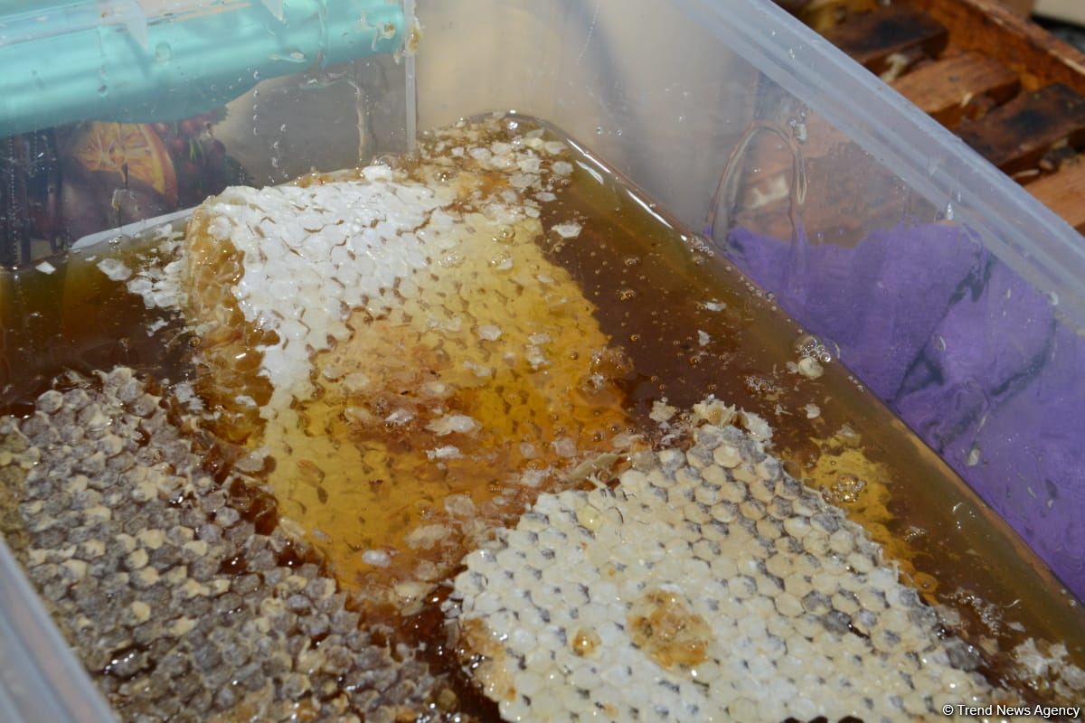 В Баку открылась ярмарка меда (ФОТО)