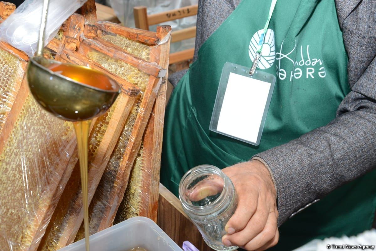 В Баку открылась ярмарка меда (ФОТО)