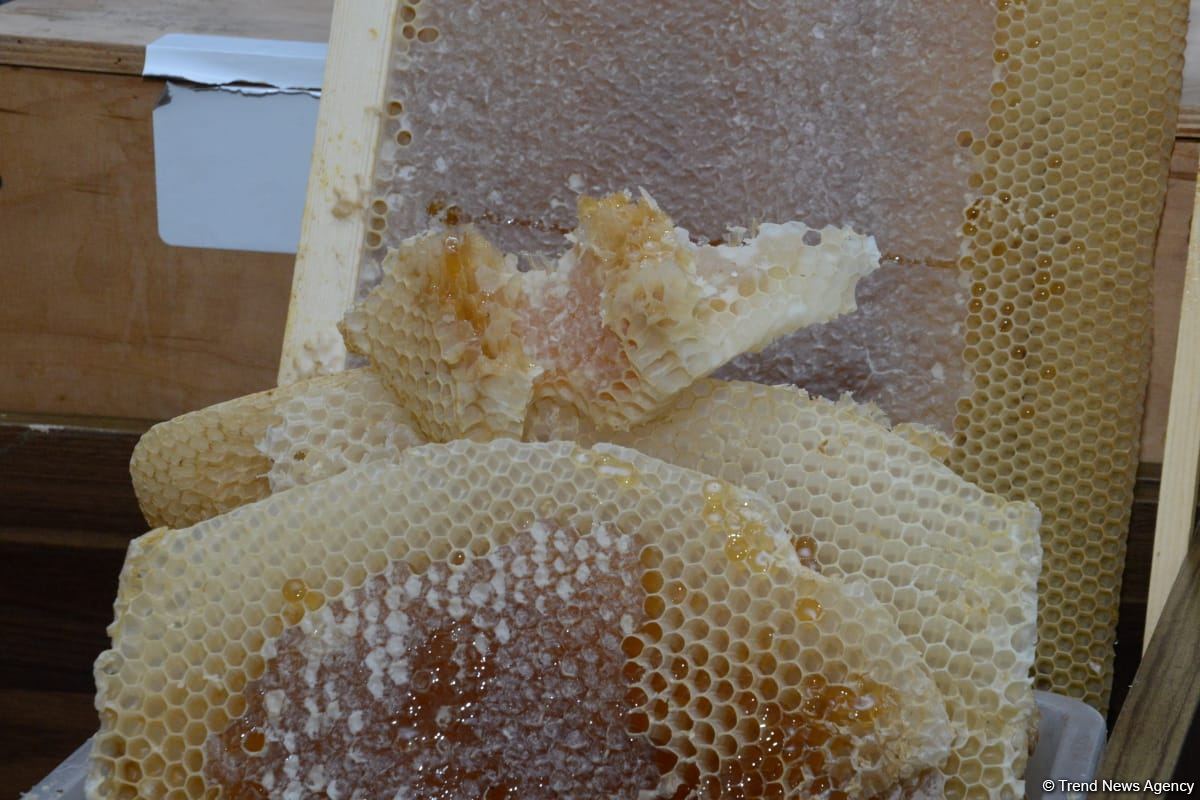 В Баку открылась ярмарка меда (ФОТО)