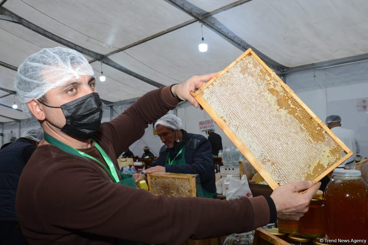 В Баку открылась ярмарка меда (ФОТО)