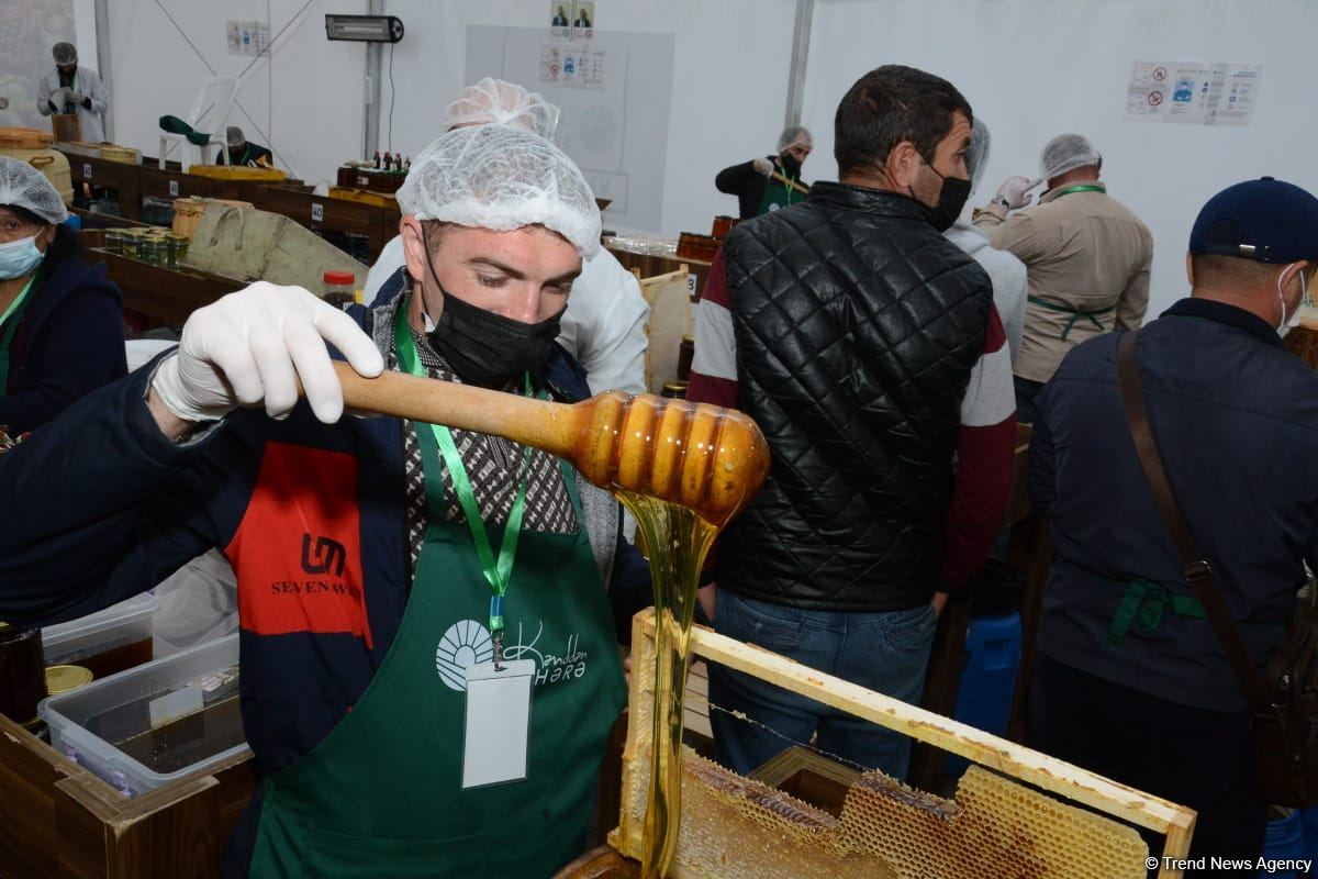 В Баку открылась ярмарка меда (ФОТО)