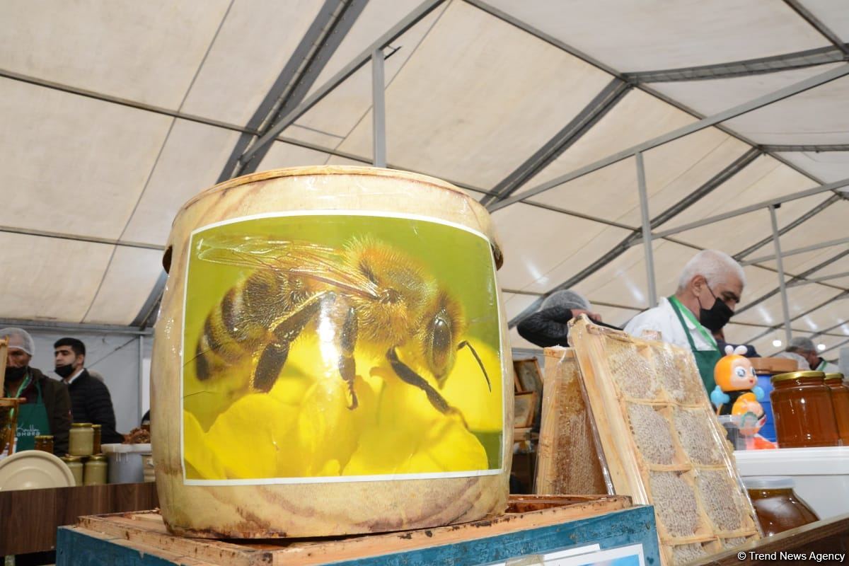 В Баку открылась ярмарка меда (ФОТО)