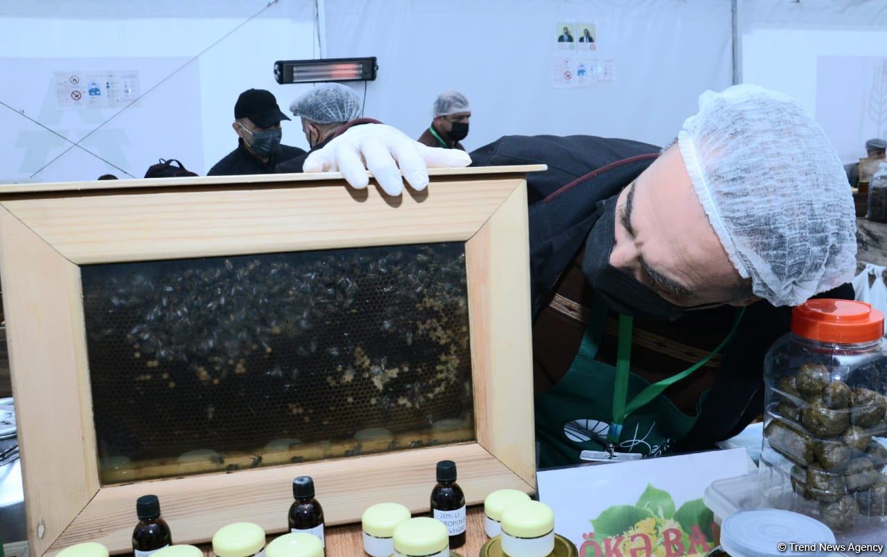 В Баку открылась ярмарка меда (ФОТО)