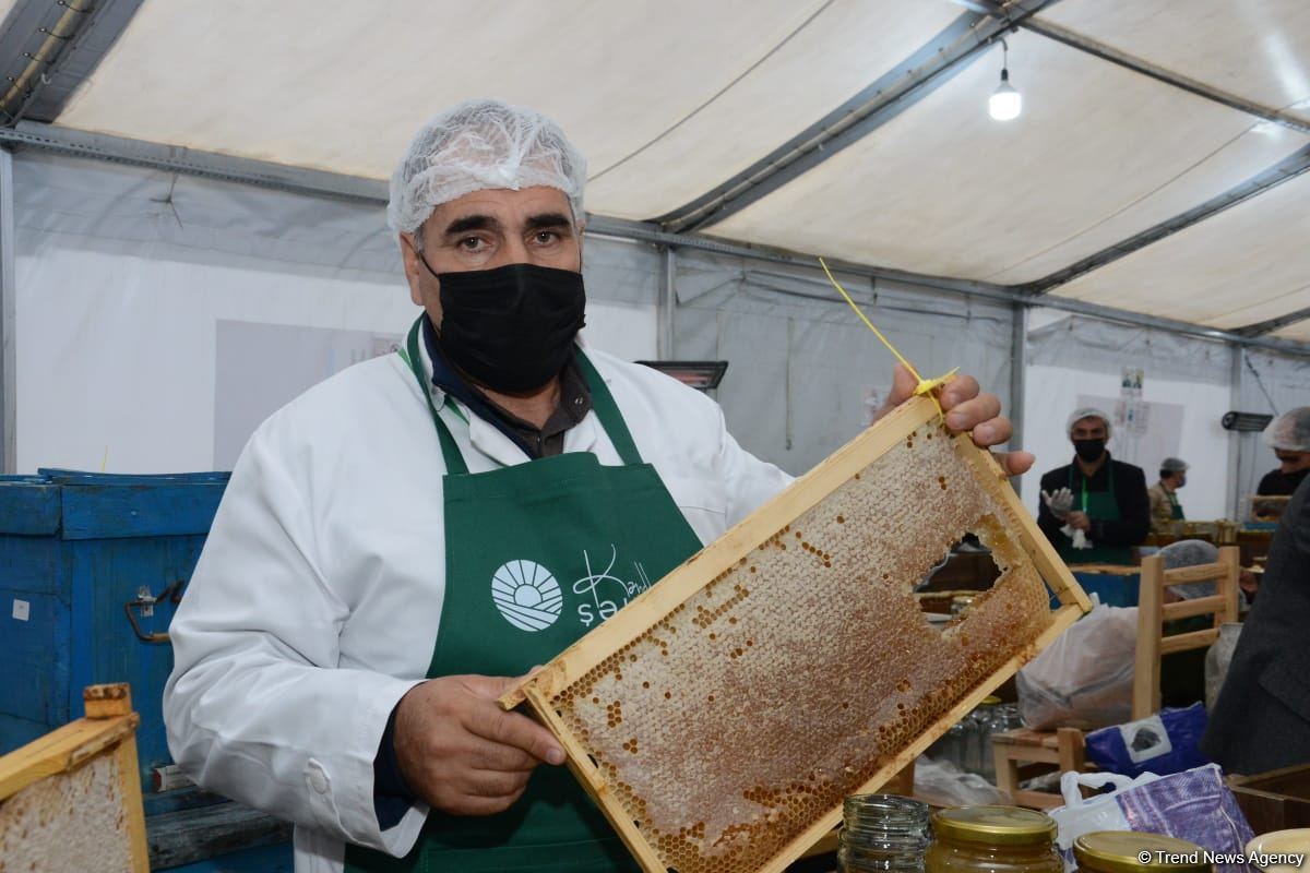 В Баку открылась ярмарка меда (ФОТО)