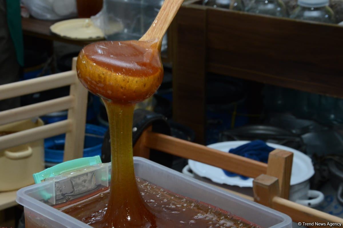 В Баку открылась ярмарка меда (ФОТО)