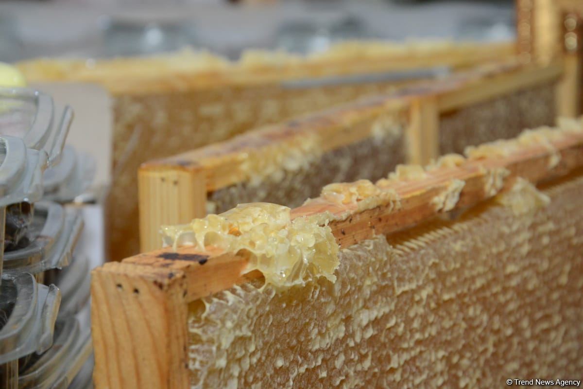 В Баку открылась ярмарка меда (ФОТО)