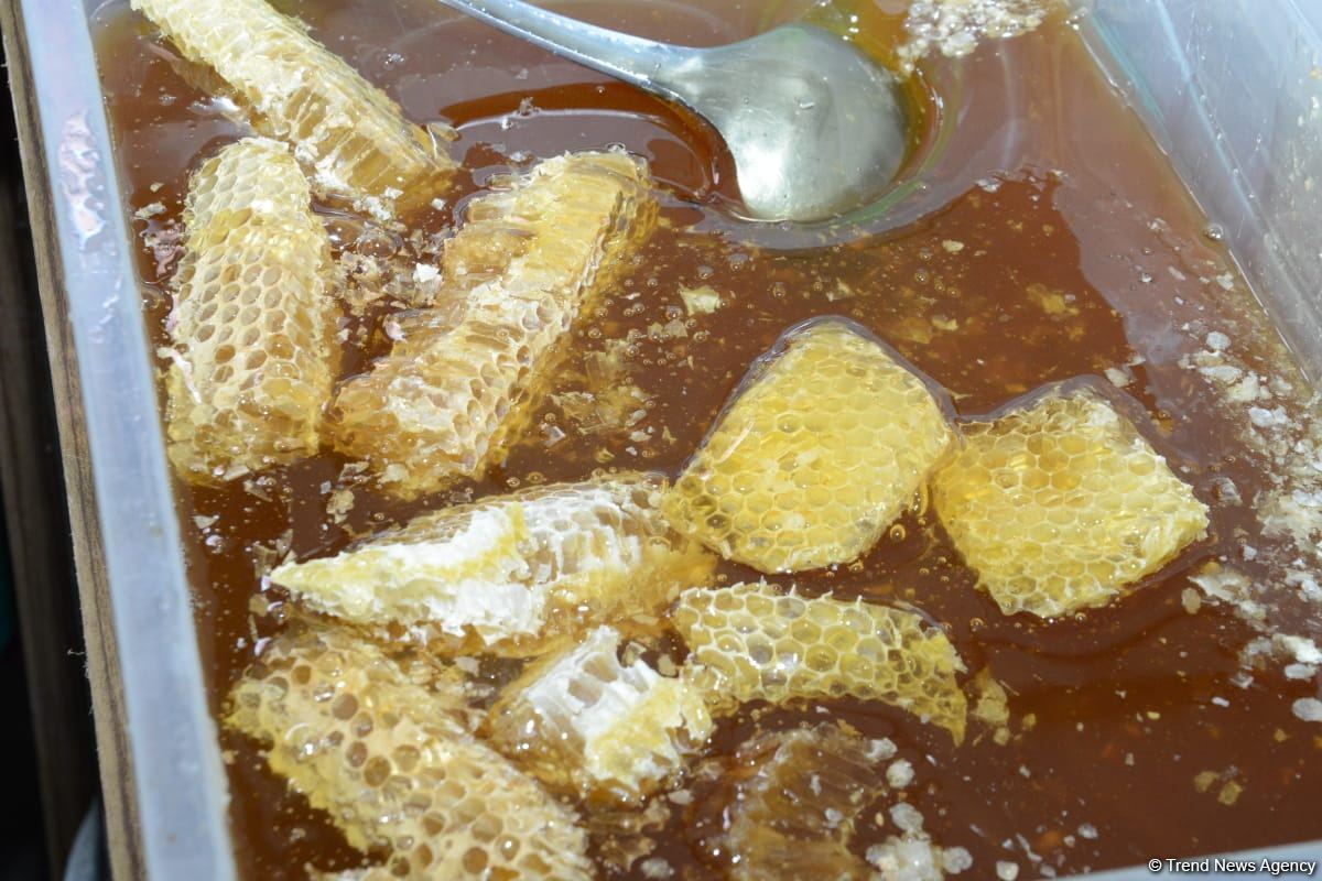 В Баку открылась ярмарка меда (ФОТО)