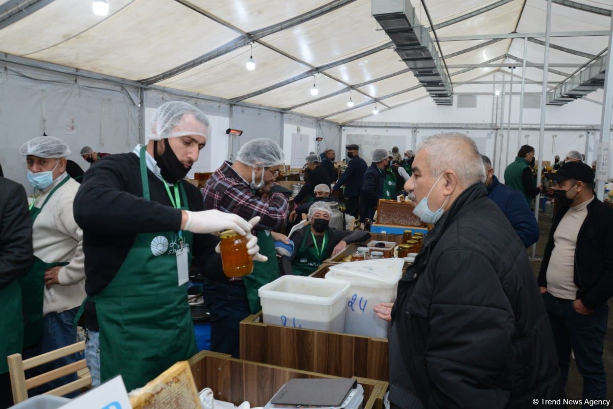 В Баку открылась ярмарка меда (ФОТО)