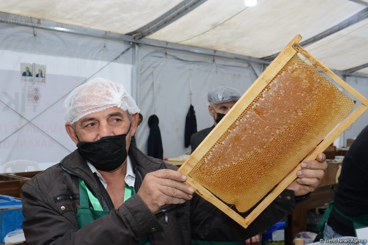 В Баку открылась ярмарка меда (ФОТО)