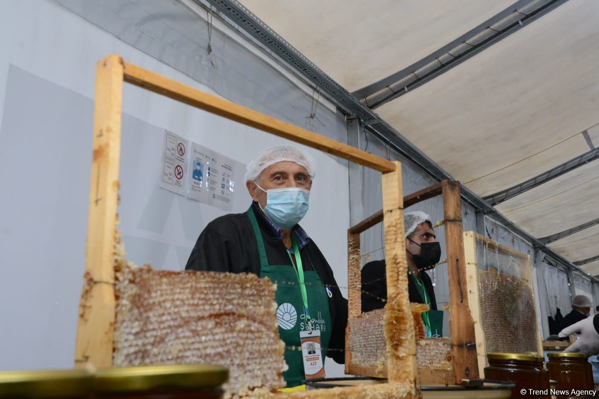 В Баку открылась ярмарка меда (ФОТО)