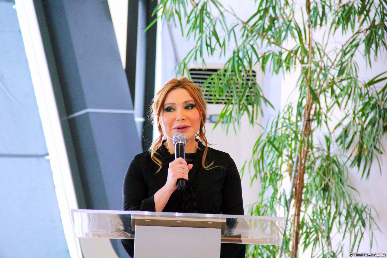 Женщины-предприниматели Азербайджана и Турции расширяют сотрудничество в рамках "Zəfərə doğru"  (ФОТО)