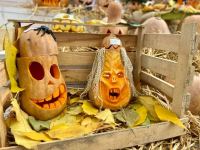 Ведьмы, призраки, вампиры и другие герои фестиваля тыквы в Баку (ФОТО/АУДИО)